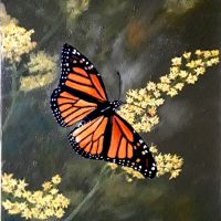 Monarch thumbnail.jpg Monarch thumbnail.jpg